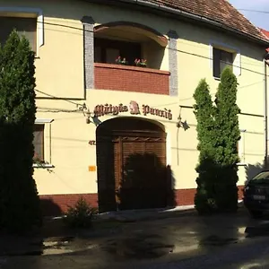 Matyas Panzio , Szeged Hungary