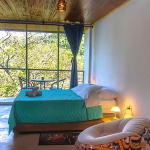 Pistacho , Minca Colombia